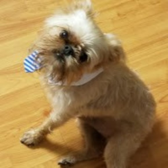 Meet your Posher, Dakotah - Picture 1 of 1